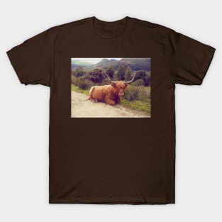 Highland cow, retro nature photography T-Shirt